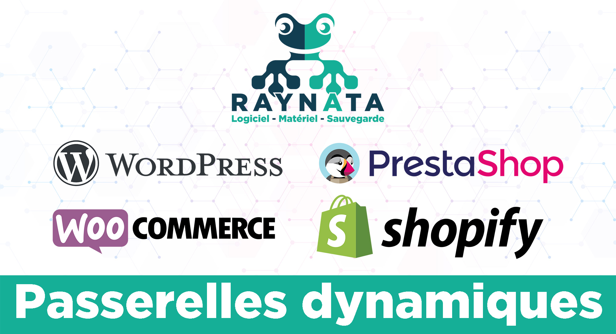 Visuel des logos de Raynata, Woocommerce, Prestashop et Shopify